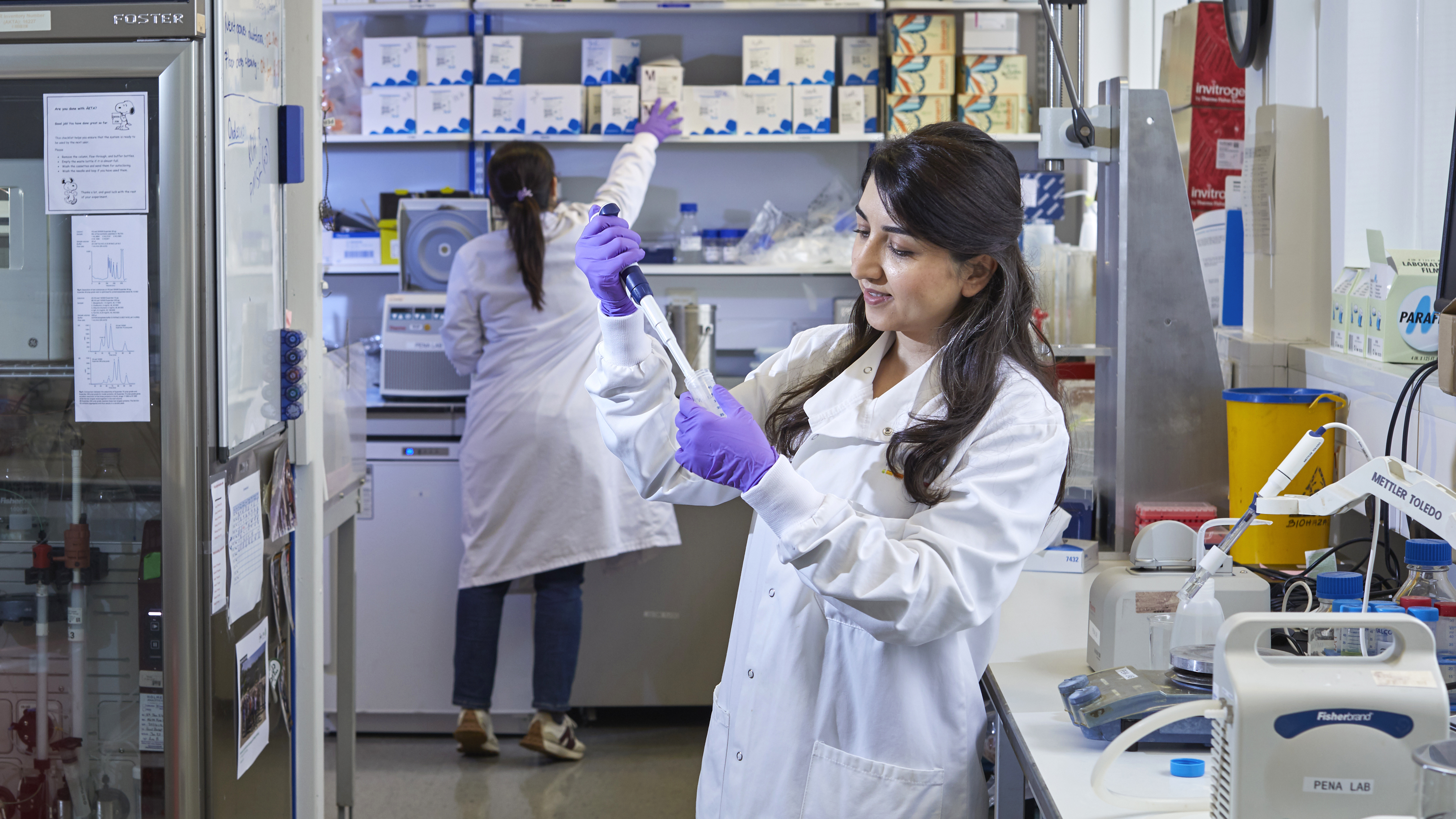 241025_ICR_new_website_184 Scientists in the lab pipetting