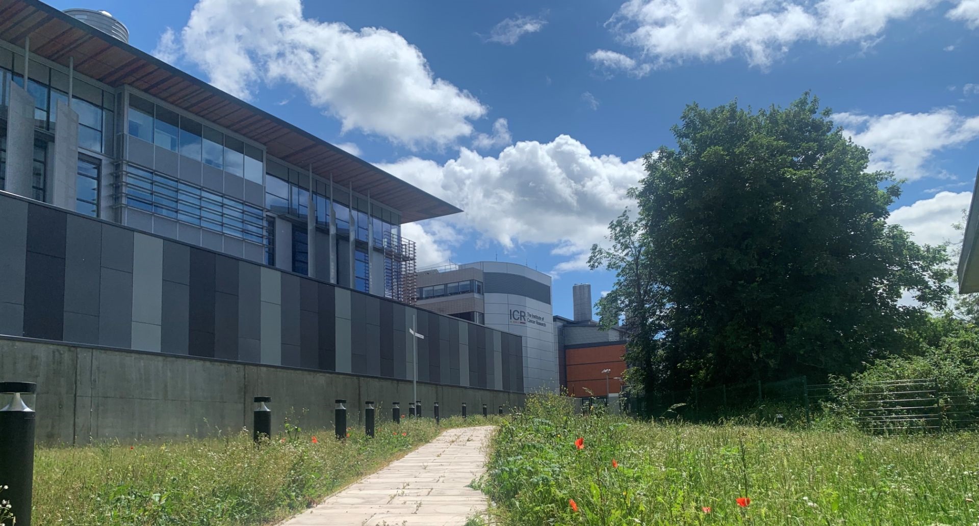 View of meadow with ICR buildings in the background