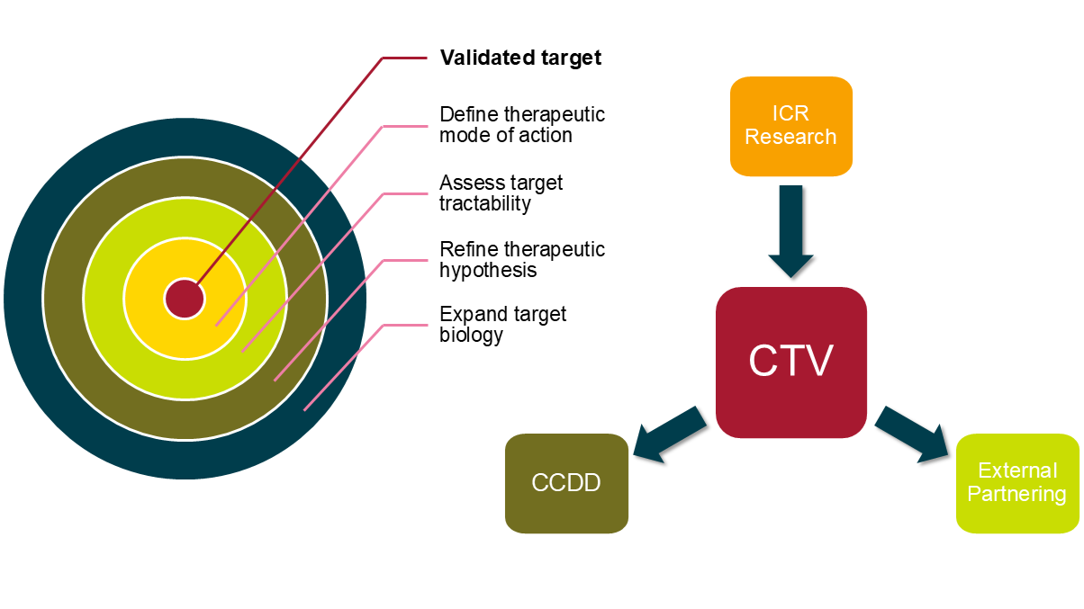 CTV target and workflow Infographic depicting the Centre's targets and workflow