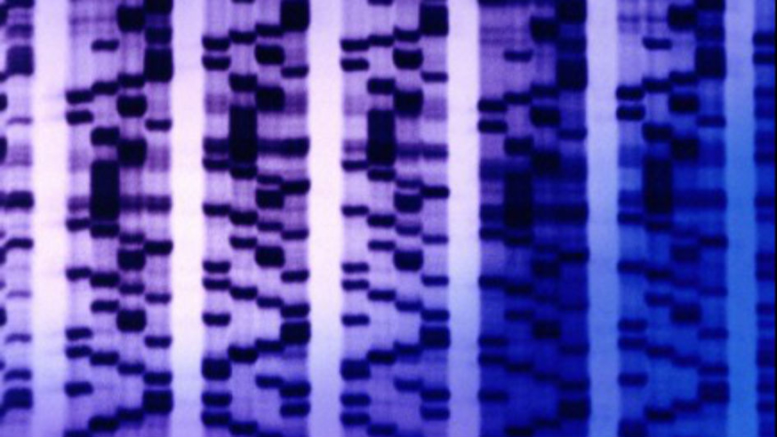 DNA Array content embed