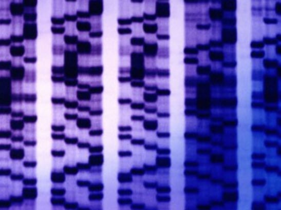 DNA Array news sidebar