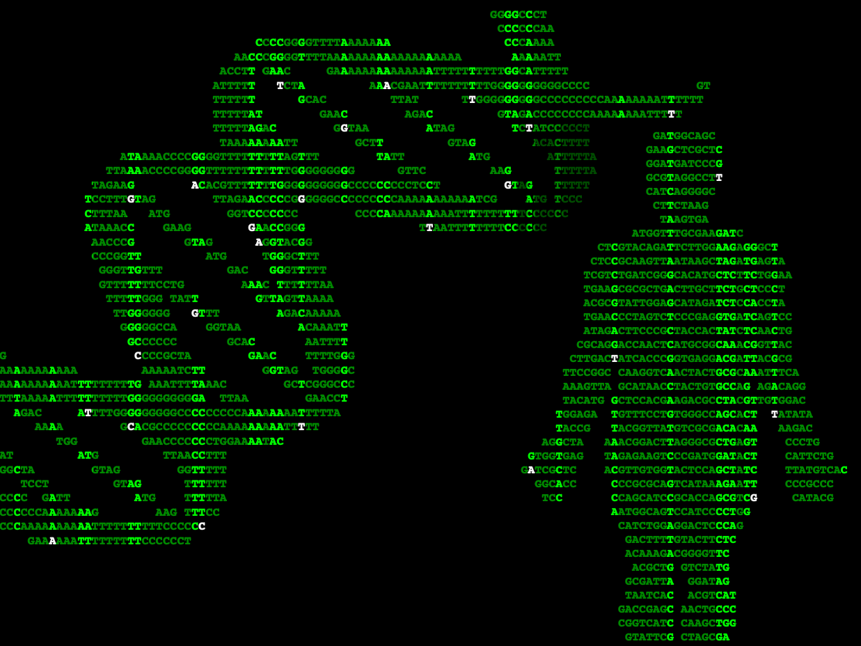 Personal Source Code Image 43 Illustration of DNA strand and human figure with genetic code