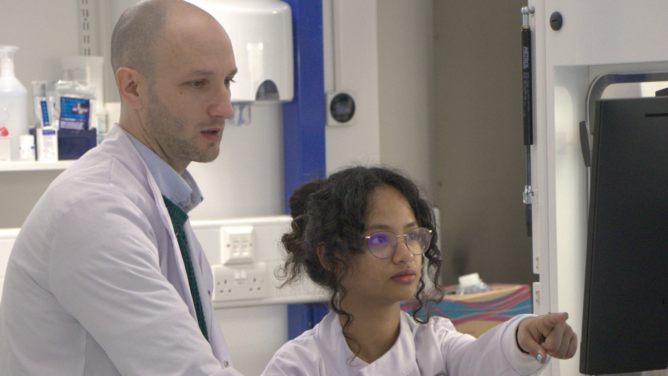 researchers in flow cytometry researchers in flow cytometry