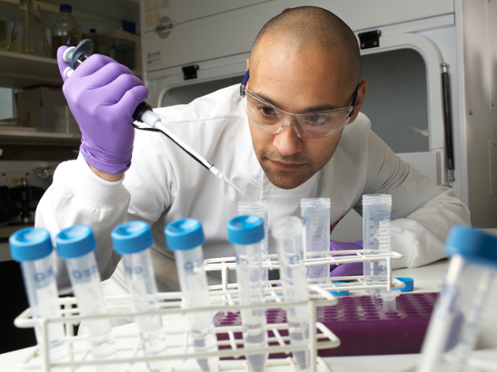 scientist-at-work_feature A scientist at work