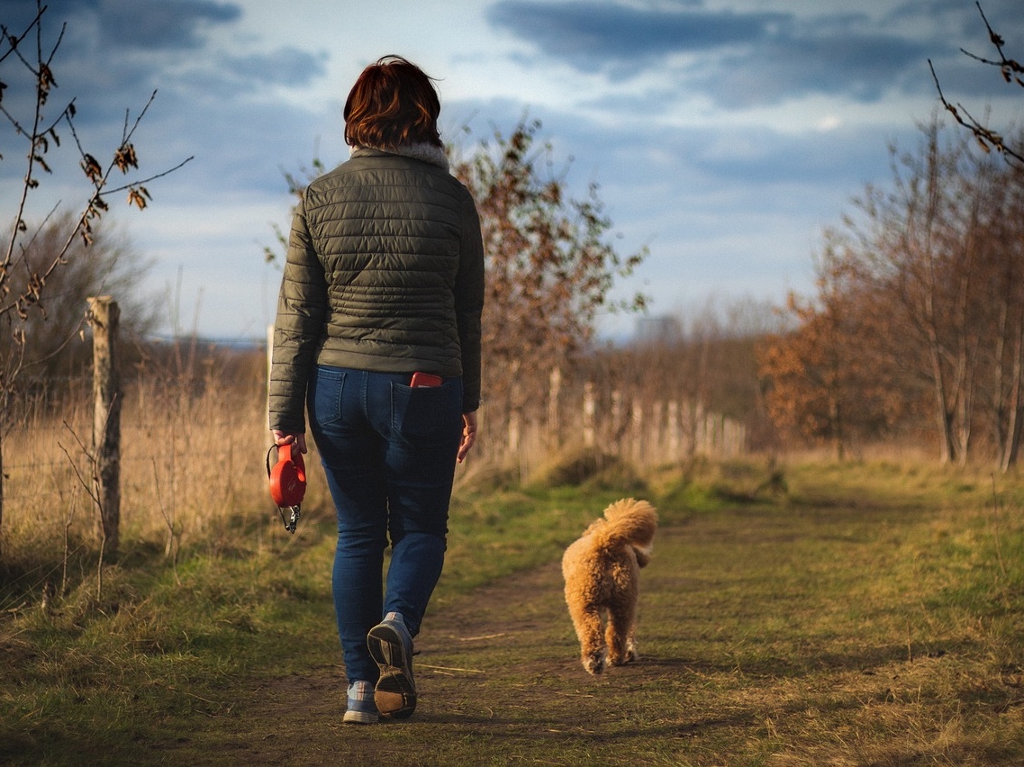 Woman walking for socials A woman walks her dog in autumn. Trees line the path.