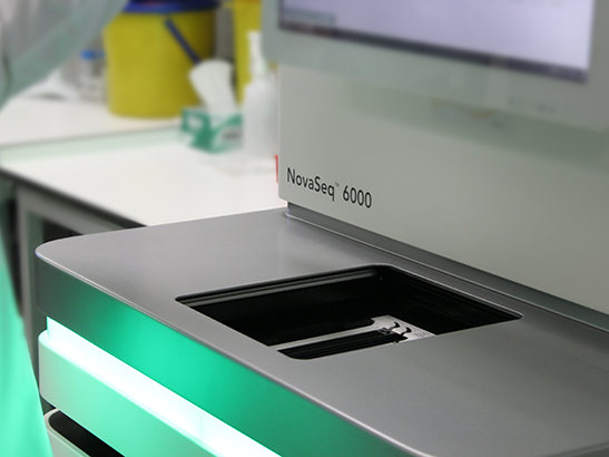 NovaSeq genome sequencing machine NovaSeq genome sequencing machine