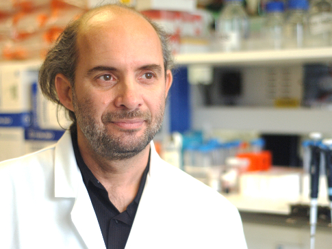 Dr Spiros Linardopoulos