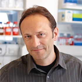 Professor Pascal Meier Professor Pascal Meier
