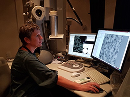 Fabienne Beuron - Electron Microscopy Facility Manager 300x225px Fabienne Beuron - Electron Microscopy Facility Manager